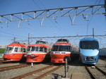 16 006.JPG