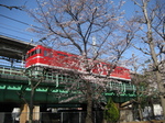 77 030.JPG