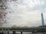 77 036p.jpg