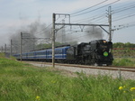 79 039p.jpg