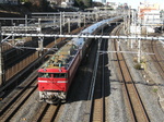 95 003p.jpg