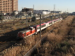 95 014p.jpg