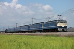 IMG_0283p.jpg
