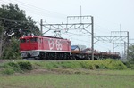 IMG_0333p.jpg