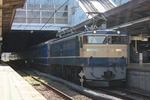 IMG_0582p.jpg