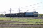IMG_0636p.jpg
