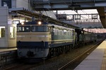 IMG_0662p.jpg