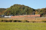 IMG_0858p.jpg