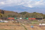 IMG_0887p.jpg