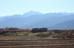 IMG_0901p.jpg