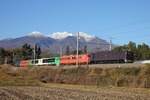 IMG_0921p.jpg