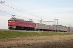 IMG_1059p.jpg