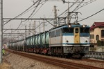 IMG_1063p.jpg