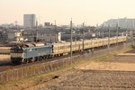 IMG_1083p.jpg
