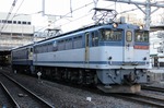 IMG_1352p.jpg