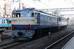 IMG_1358p.jpg