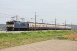 IMG_2163p.jpg