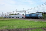 IMG_2428p.jpg