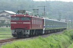 IMG_2576p.jpg