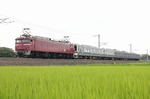 IMG_2601p.jpg