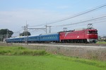 IMG_2656p.jpg