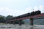 IMG_3771p.jpg