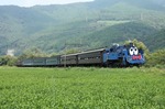 IMG_3785p.jpg
