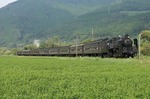 IMG_3813p.jpg