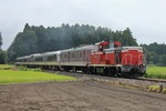 IMG_3843p.jpg