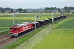 IMG_3861p.jpg