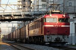 IMG_3880p.jpg