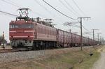 IMG_3900p.jpg