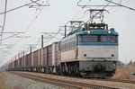 IMG_3917p.jpg