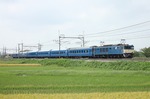 IMG_4761p.jpg