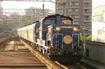 IMG_4994p.jpg