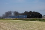IMG_5337p.jpg