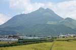 IMG_5364.jpg