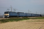 IMG_5367p.jpg
