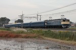 IMG_5386p.jpg