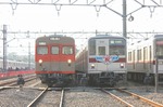 IMG_5439.jpg