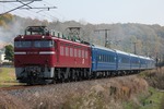 IMG_5551p.jpg