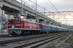 IMG_5662p.jpg