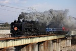 IMG_6056p.jpg