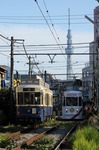 IMG_6367p.jpg