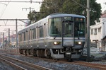 IMG_6383p.jpg