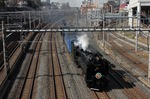 IMG_6804p.jpg