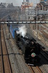 IMG_6804pp.jpg