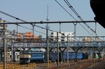 IMG_6817p.jpg