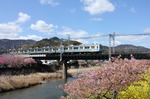 IMG_6837p.jpg