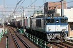 IMG_9443p.jpg